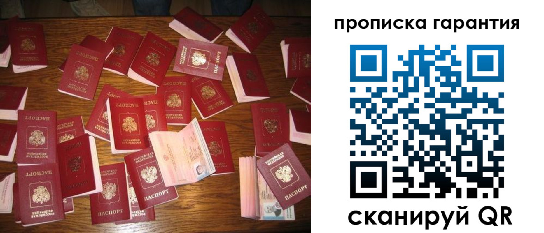 временная регистрация для школы в Волосово